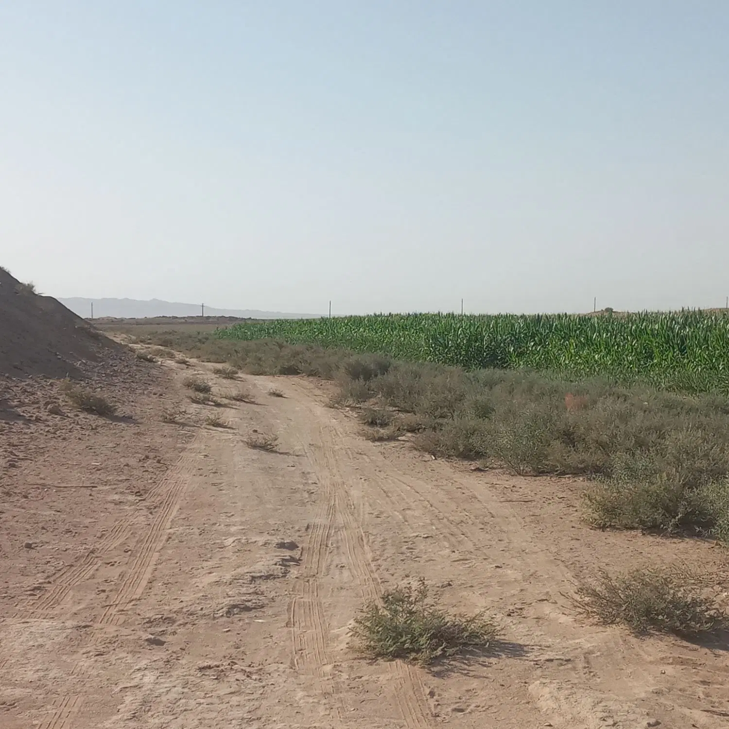 ۱۸۰۰۰ مترمربع زمین
