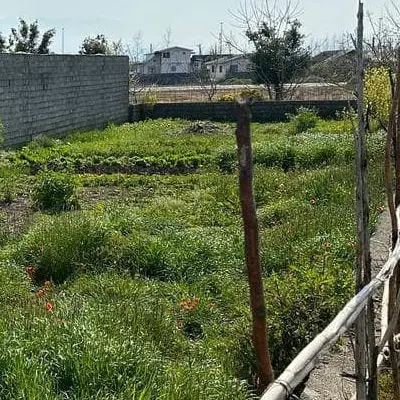 فروش زمین ۱۵۲ متری در گلزاران