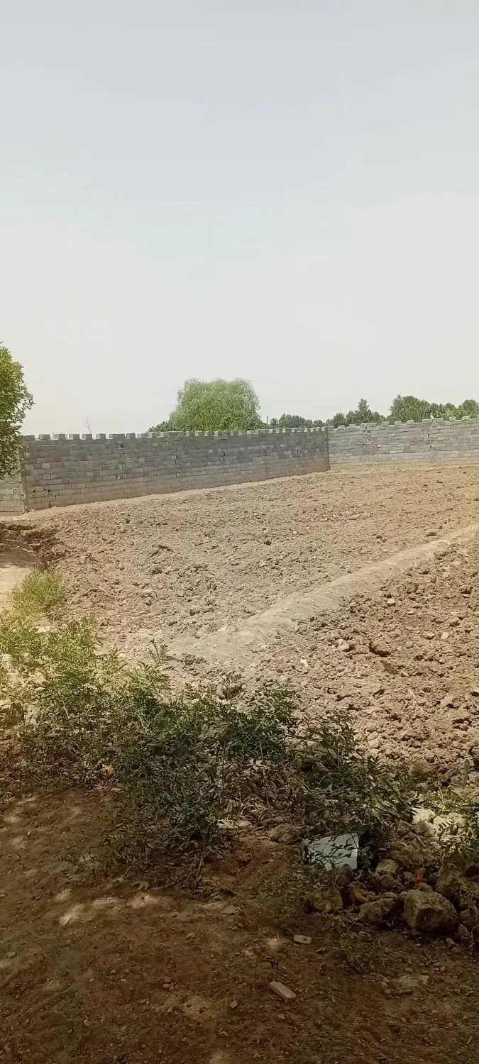 فروش زمین باغی