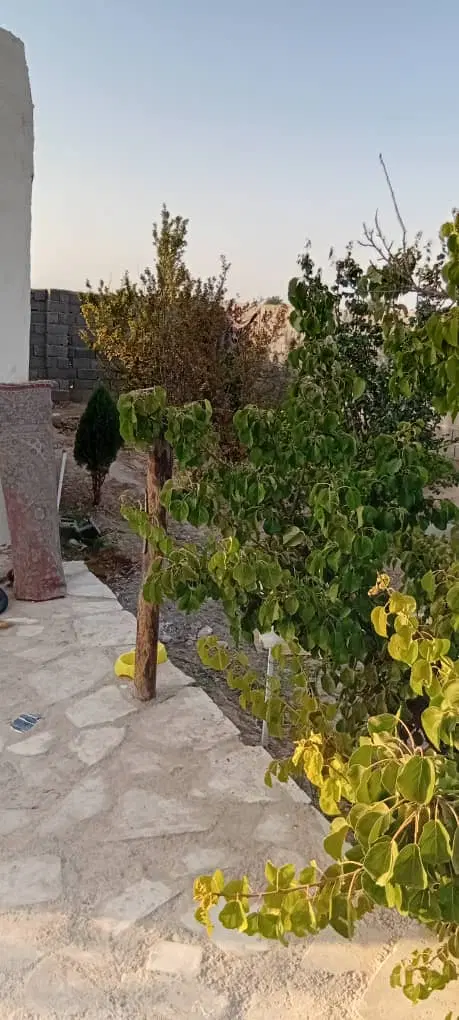 باغچه. باغ 1000متر زیر قیمت. پول لازم_زمین، مفت