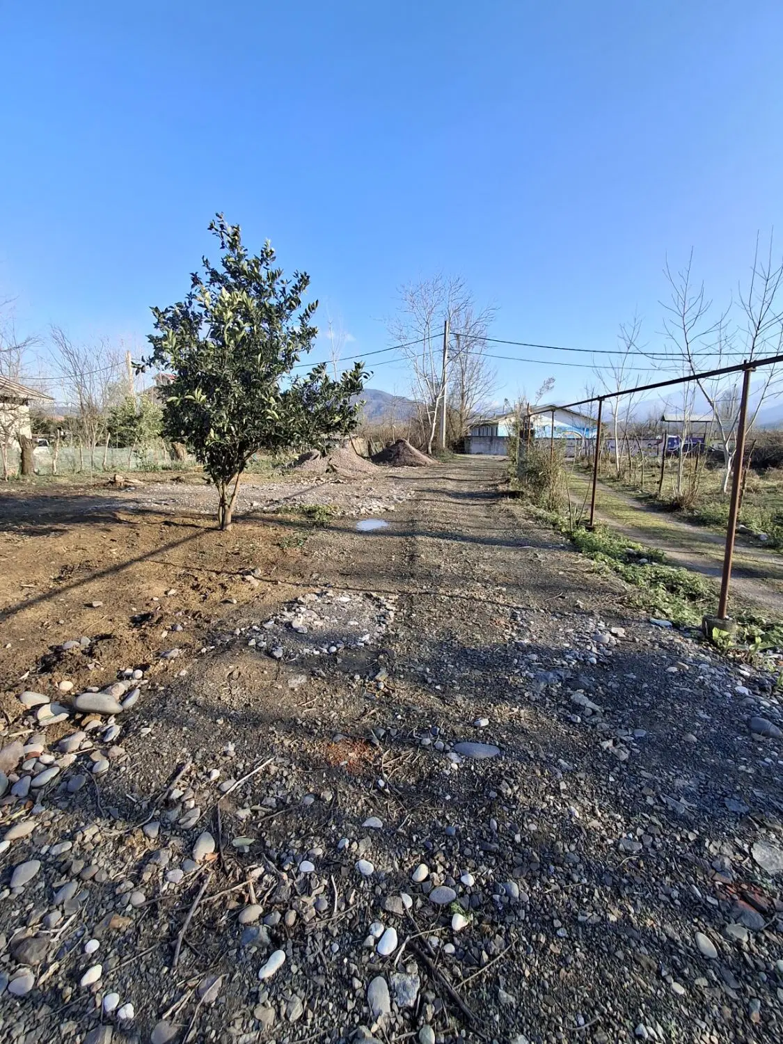 زمین مسکونی