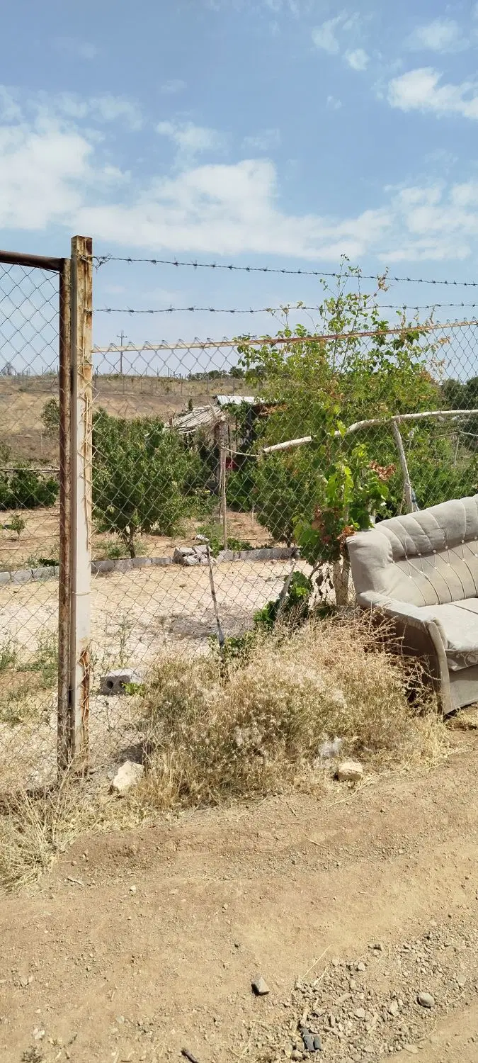 باغی باغبان.شهرستان سامان شوراب