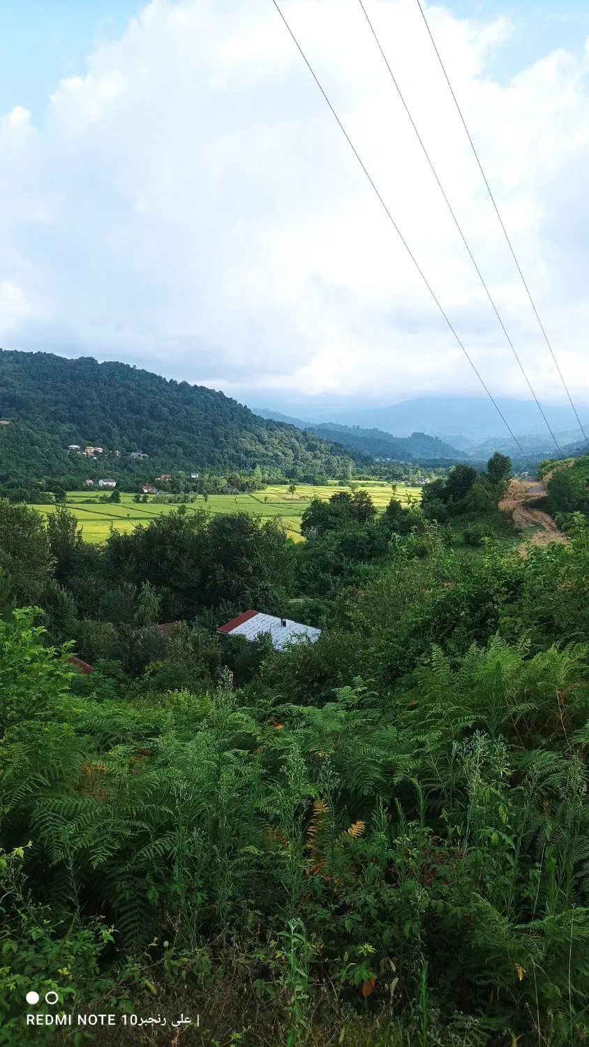 زمین باغی داخل طرح سند دار