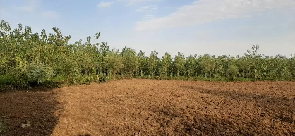 زمین به متراژ ۴۰۰۰ متر مربع با امتیاز طرح هادی