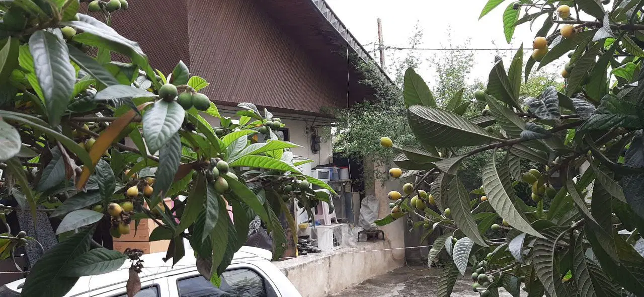 ویلایی سند دار