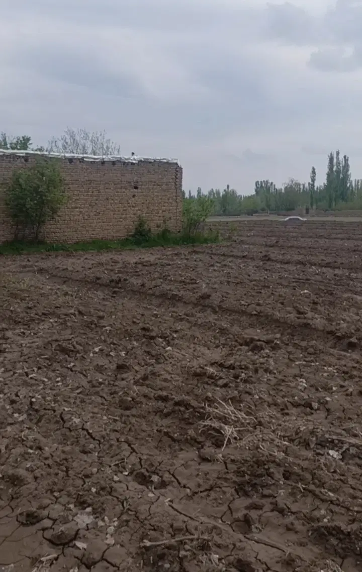 اجاره زمین کشاورزی مرغوب درمحدوده شهر