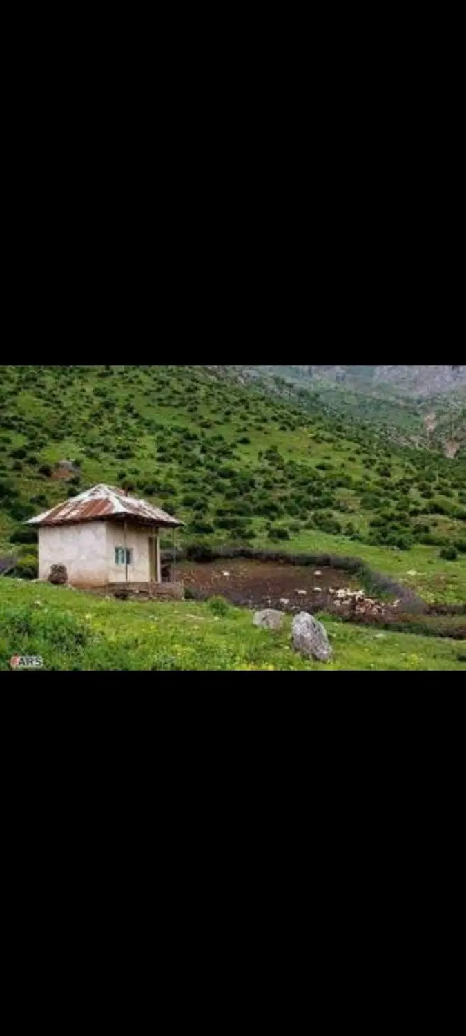 هم خانه