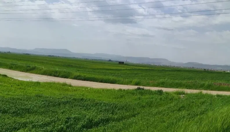 معاوضه زمین کشاورزی