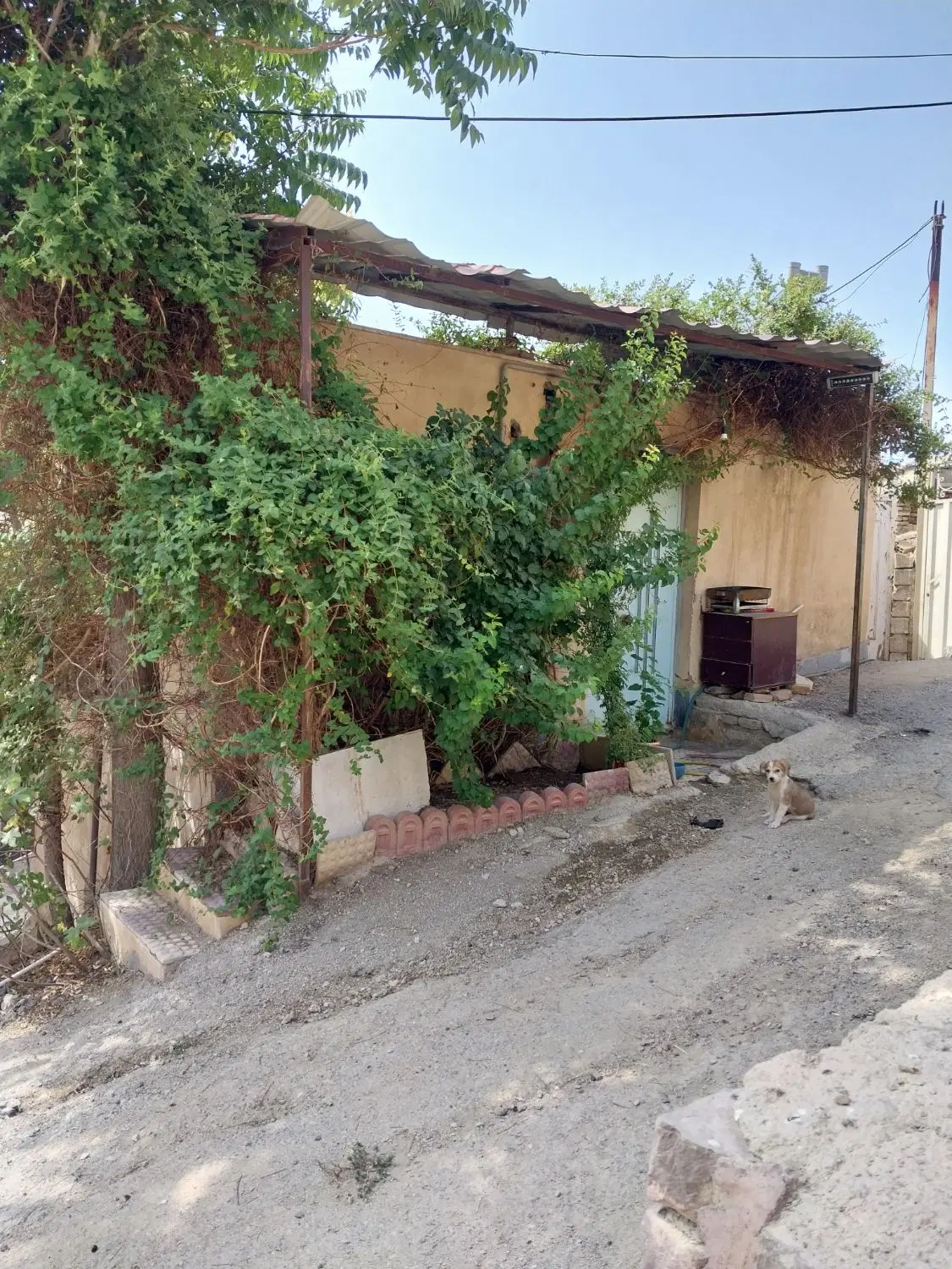 فروش خونه باغ ۳۰۰متری پردیس کمرد
