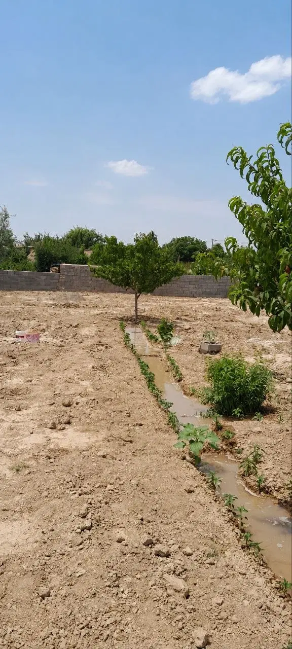 ۵۰۰ متر زمین دور دیوار مناسب خانه باغ