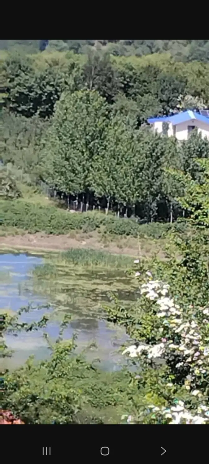 فروش زمین در خوش آب.هواترین منطقه سوادکوه پل سفید