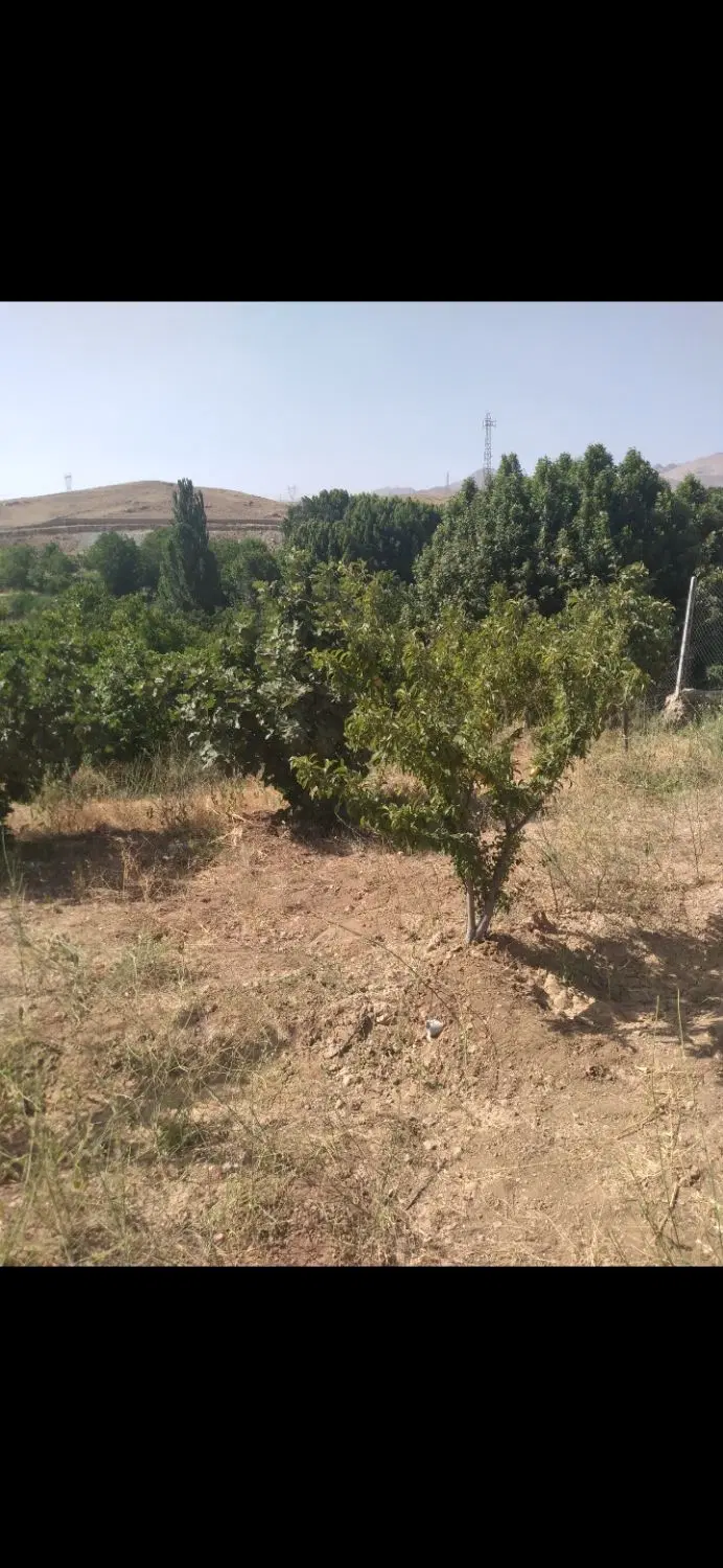 فروش باغ