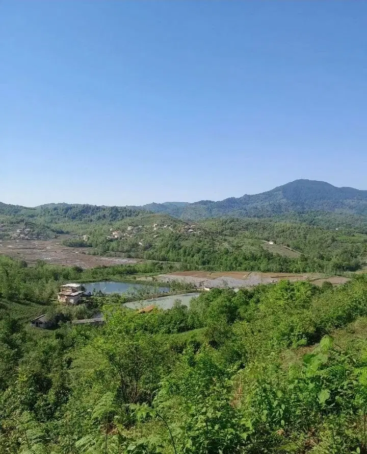 ۲۰۰متر زمین مسکونی ویوابدی اطاقور