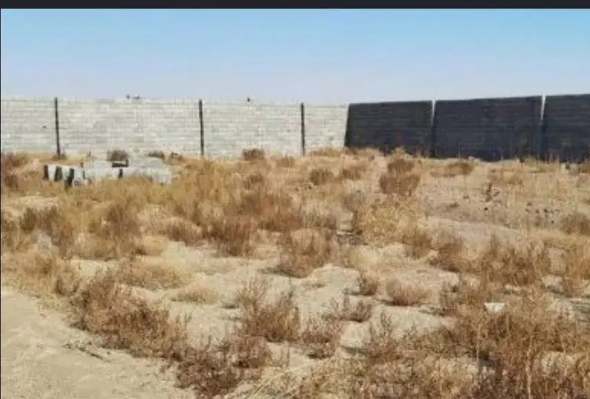 معاوضه زمین ۸۰۵ متری با گوسفندو ماشین