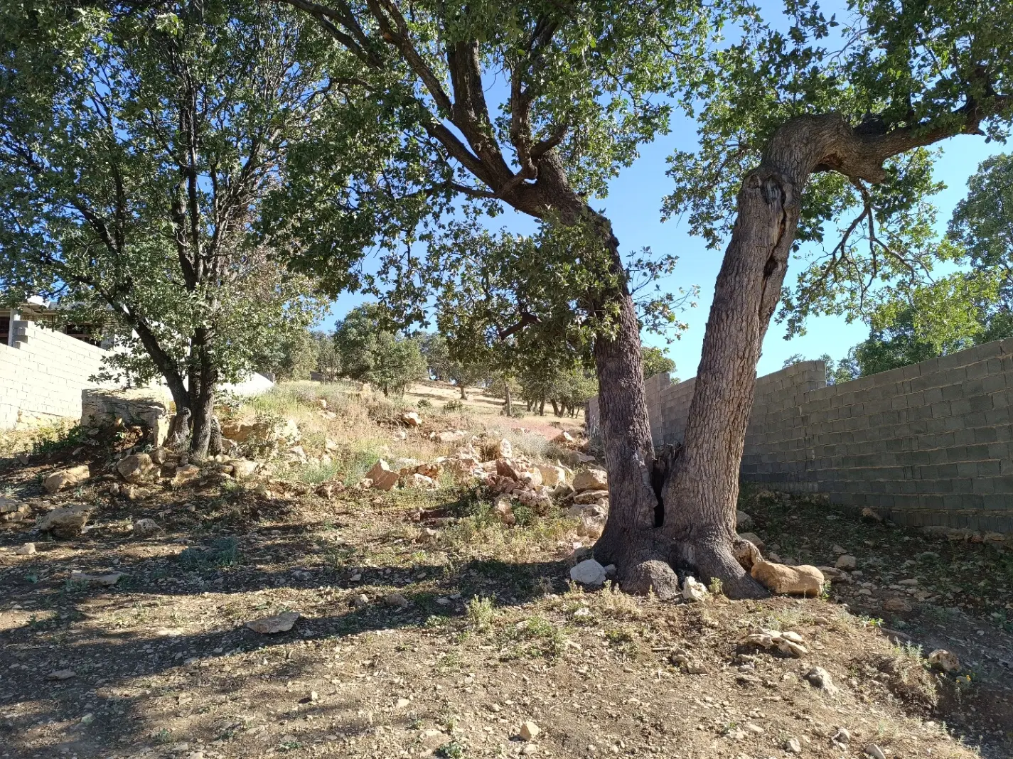 زمین ویلایی
