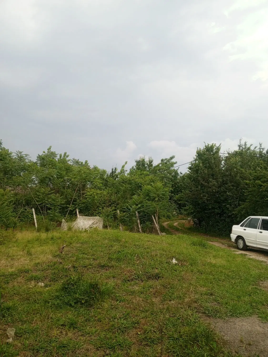 زمین سنددار_نامه بنیادوپروانه ساخت_معاوضه با ماشین
