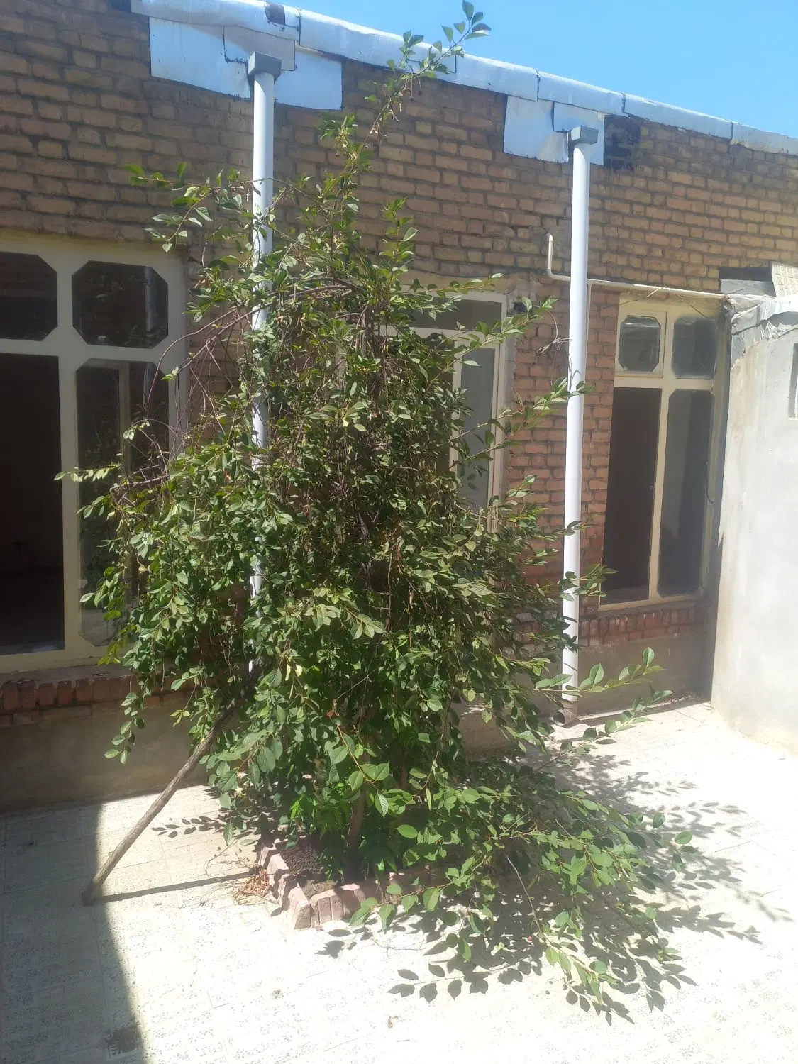 سویت مجردی و خانواده