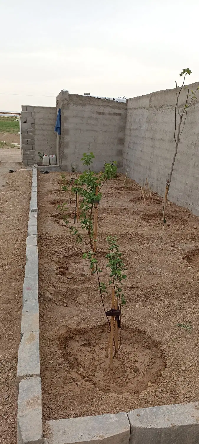 خونه ساخت جدید