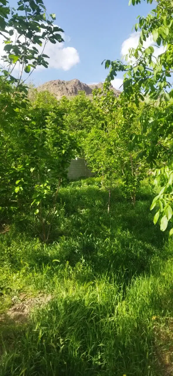 باغچه ۳۵۰ متری