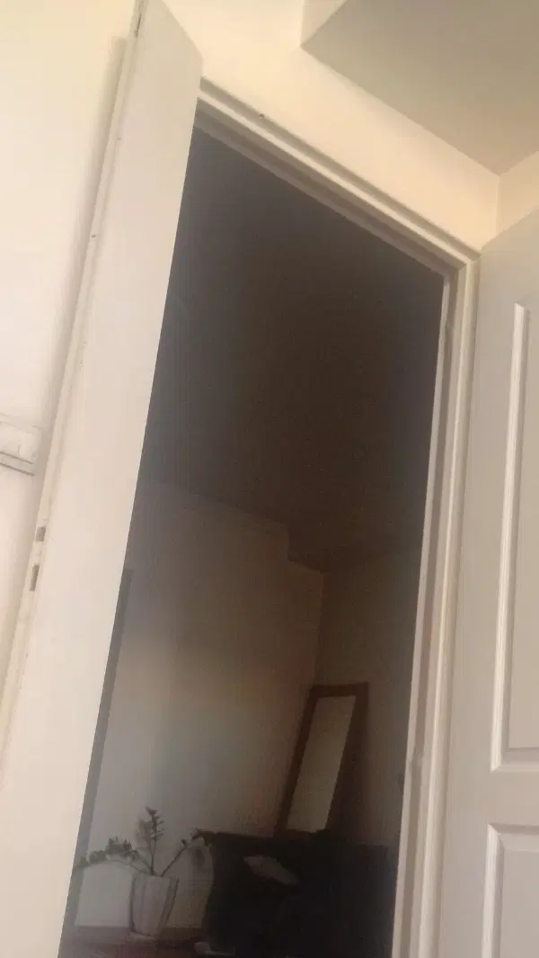 همخونه