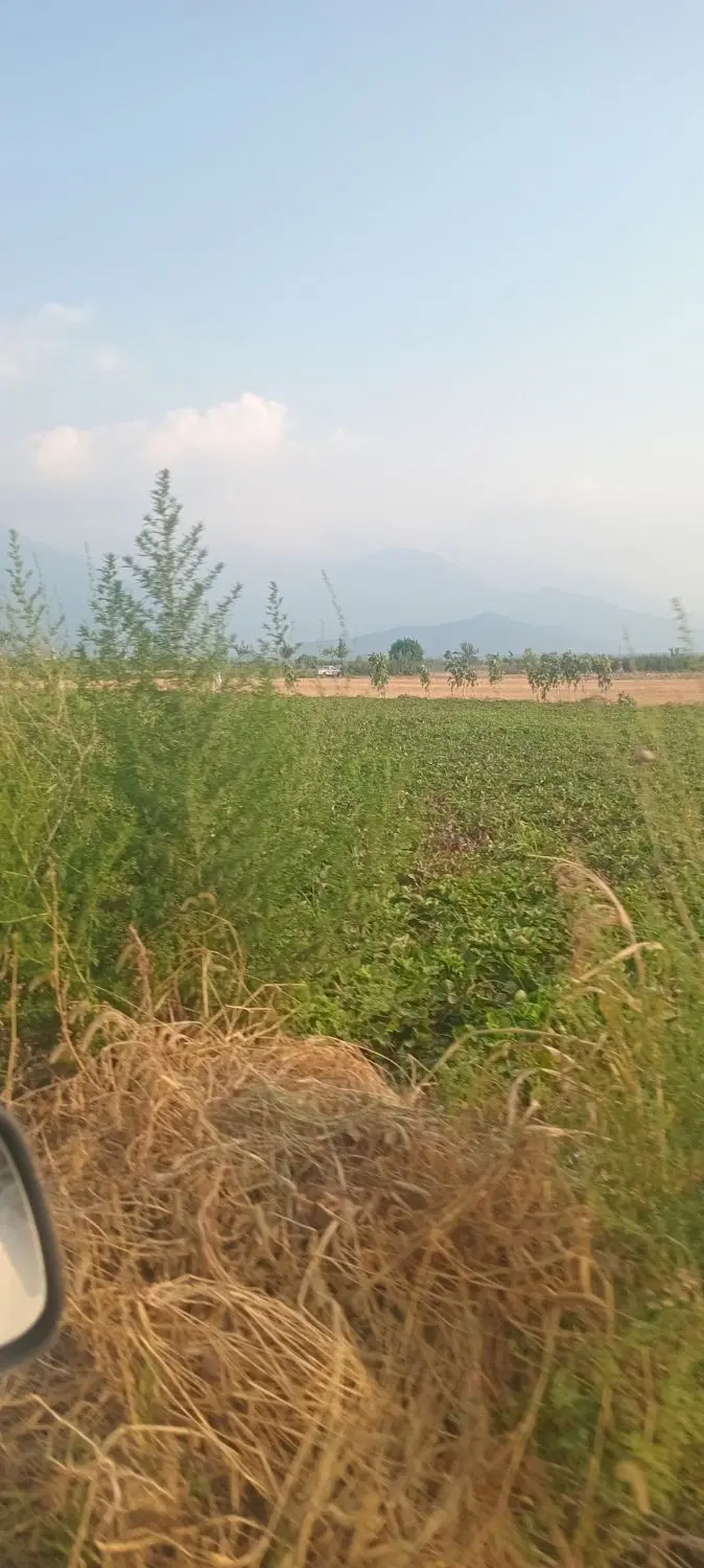 زمین کشاورزی