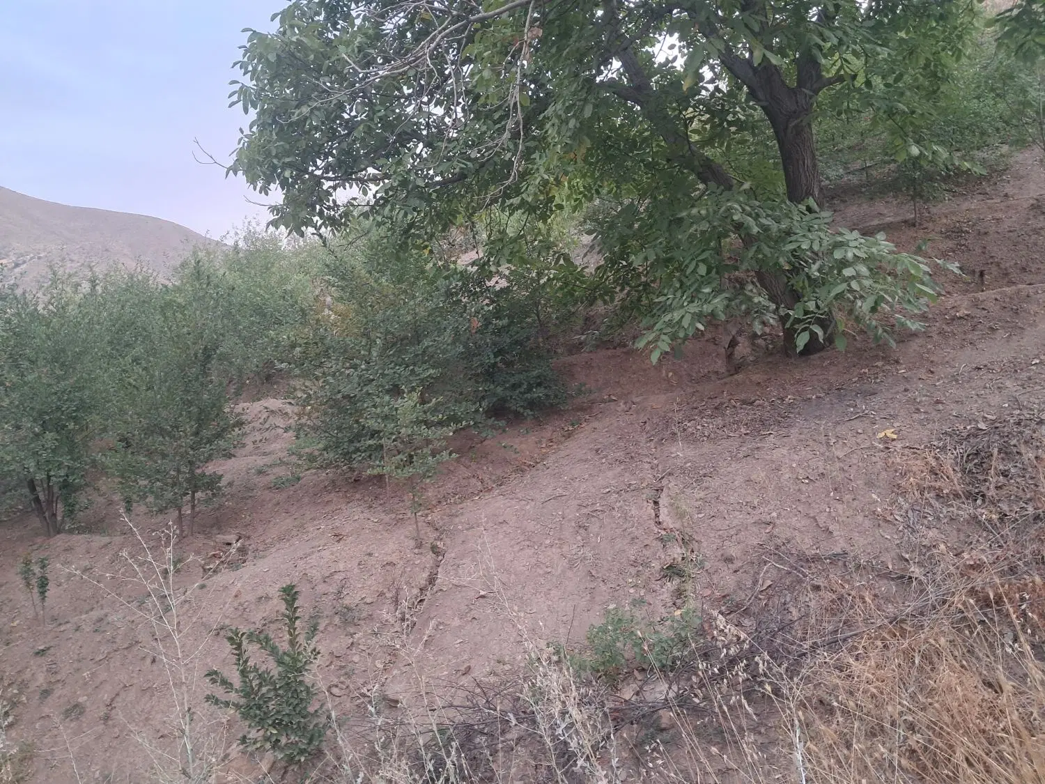 تعدادی ویلایی مسکونی.و مسکونی ،تجاری برای فروش
