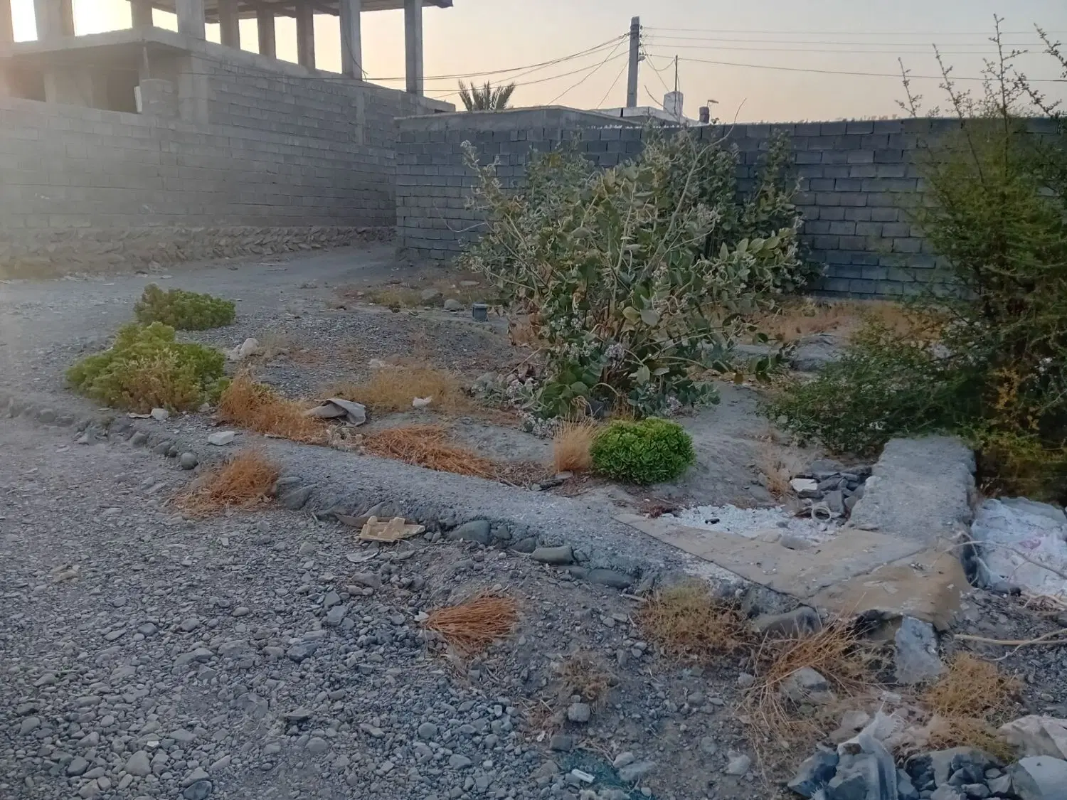 زمین فروشی رودان