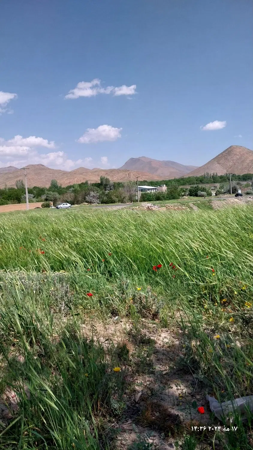زمین فروشی