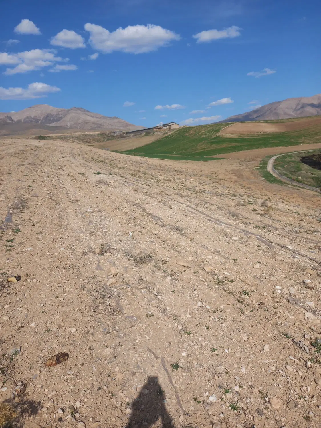 زمین کشاورزی