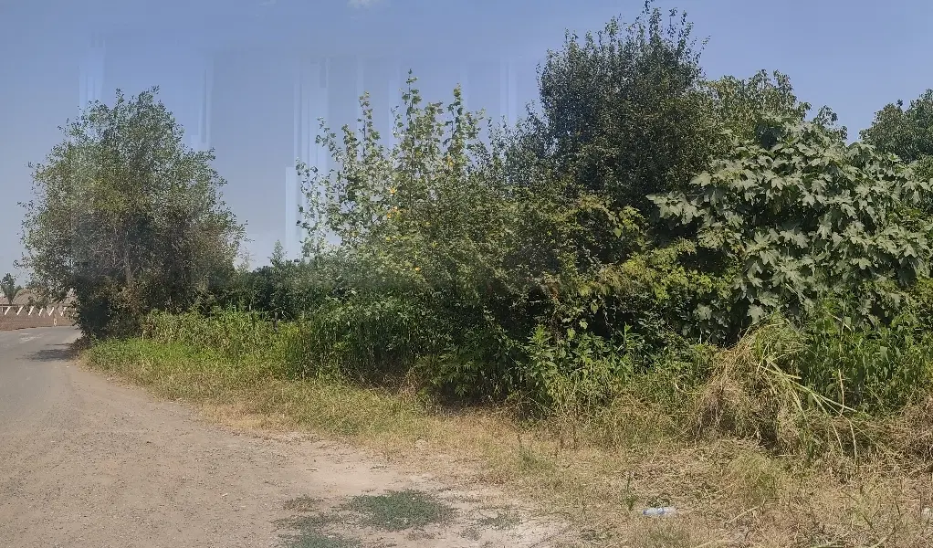 زمین با کاربری مسکونی۳۲۰متر