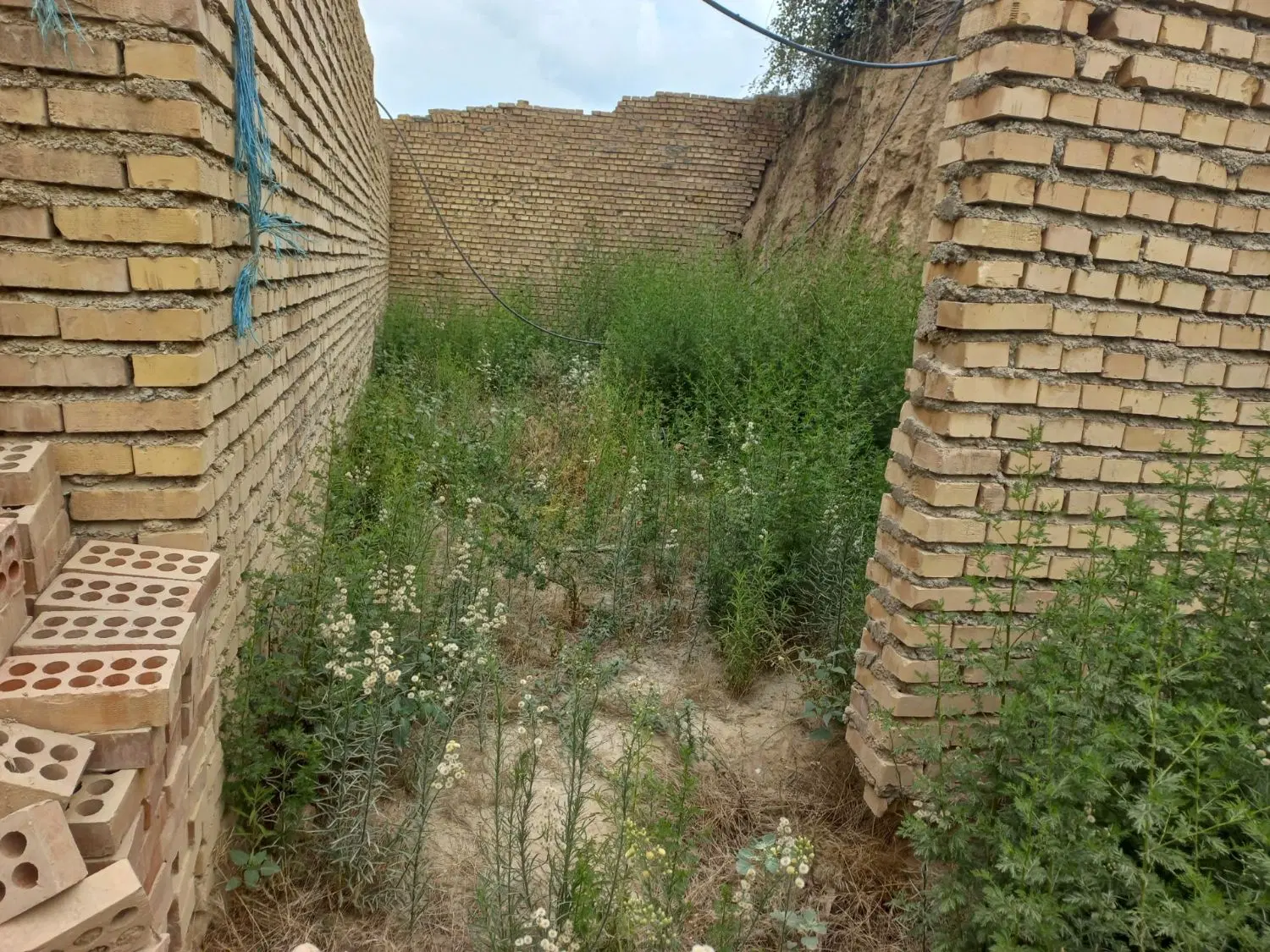 زمین فروشی روستای سوسرا