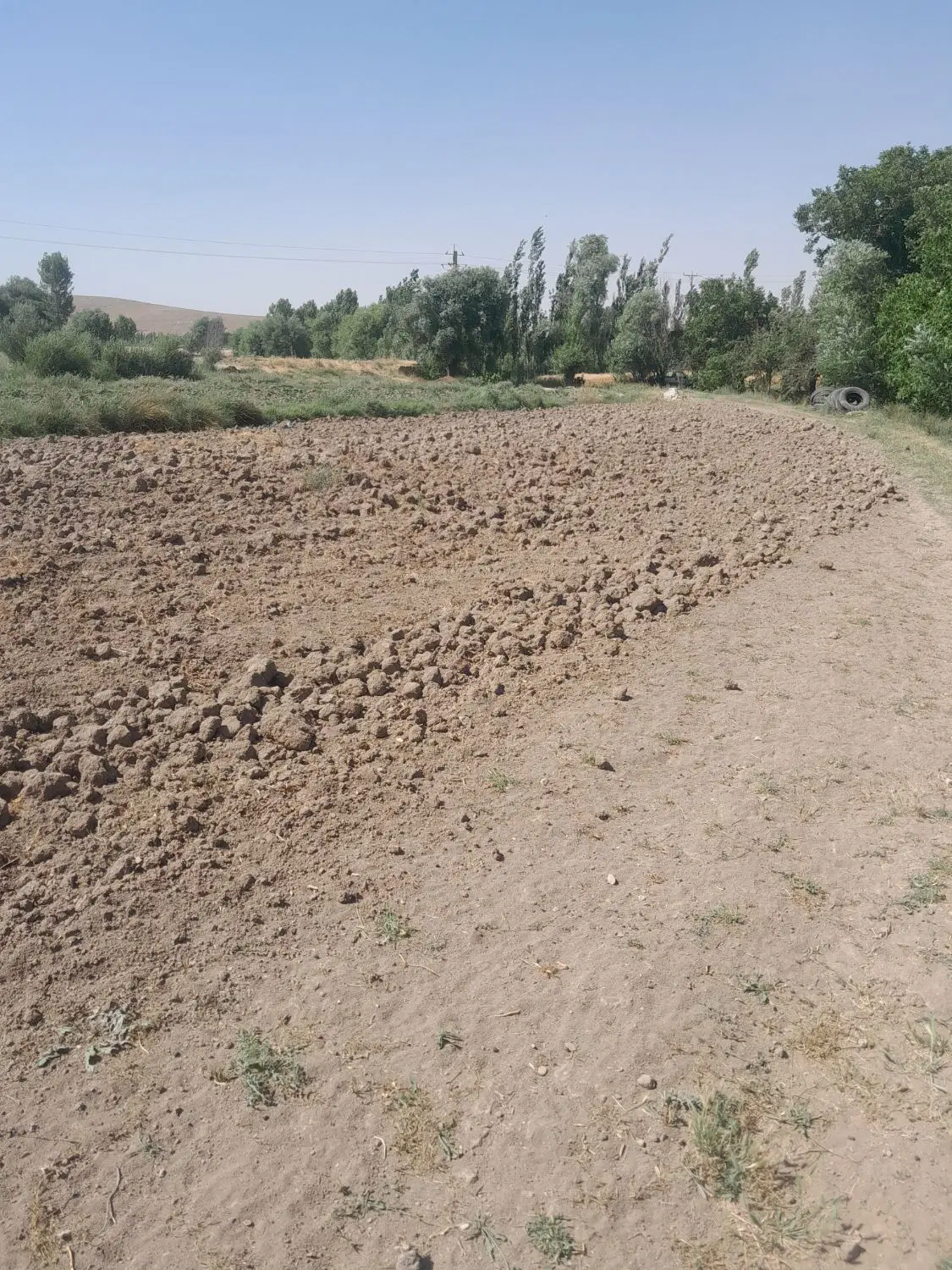زمین کشاورزی ب قیمت
