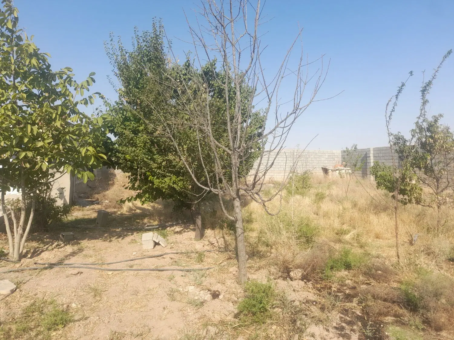 زمین فروشی