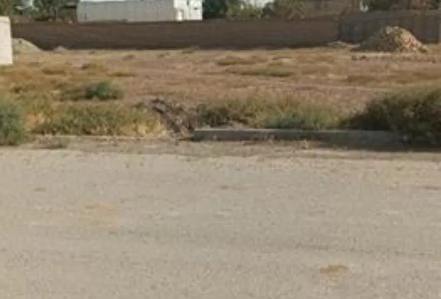 زمین در کنار تالار پاسارگاد
