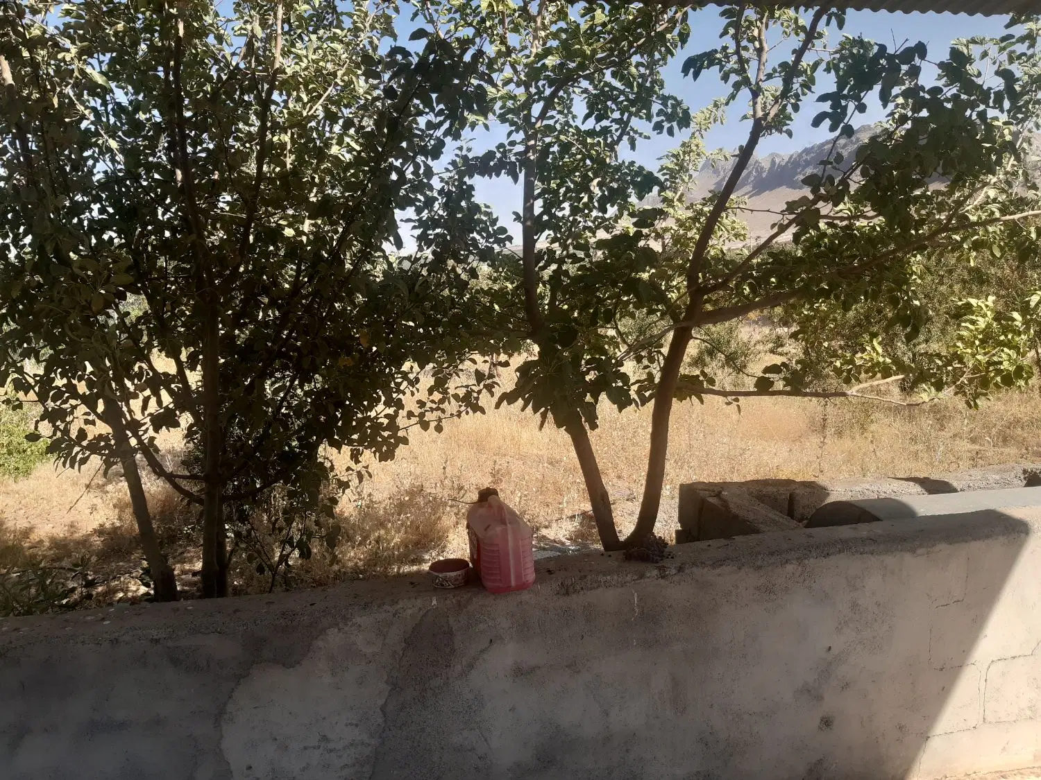 باغ طرح عمان فروشی
