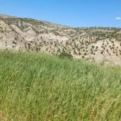 زمین محدوده خبرنگاروخرمرودی