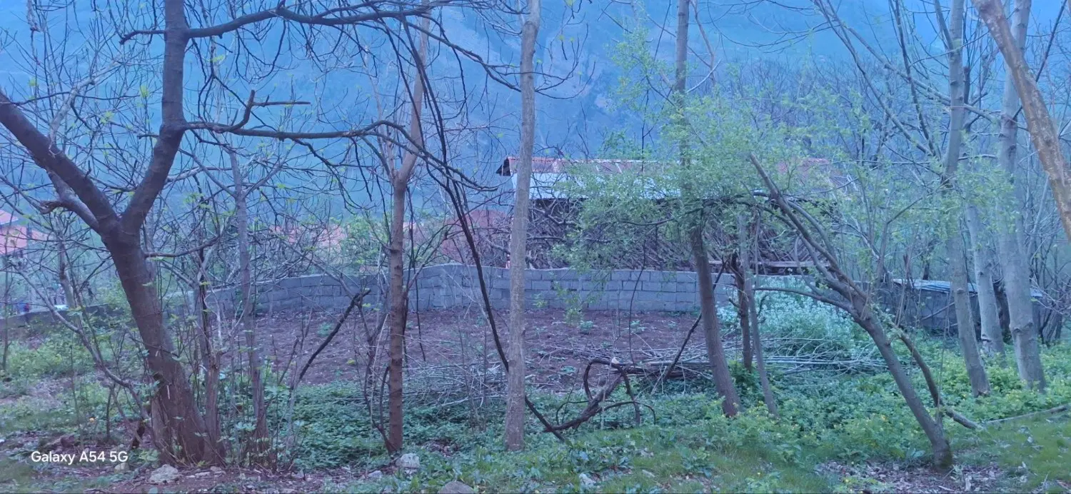 فروش زمین در شمال کشور . گیلان