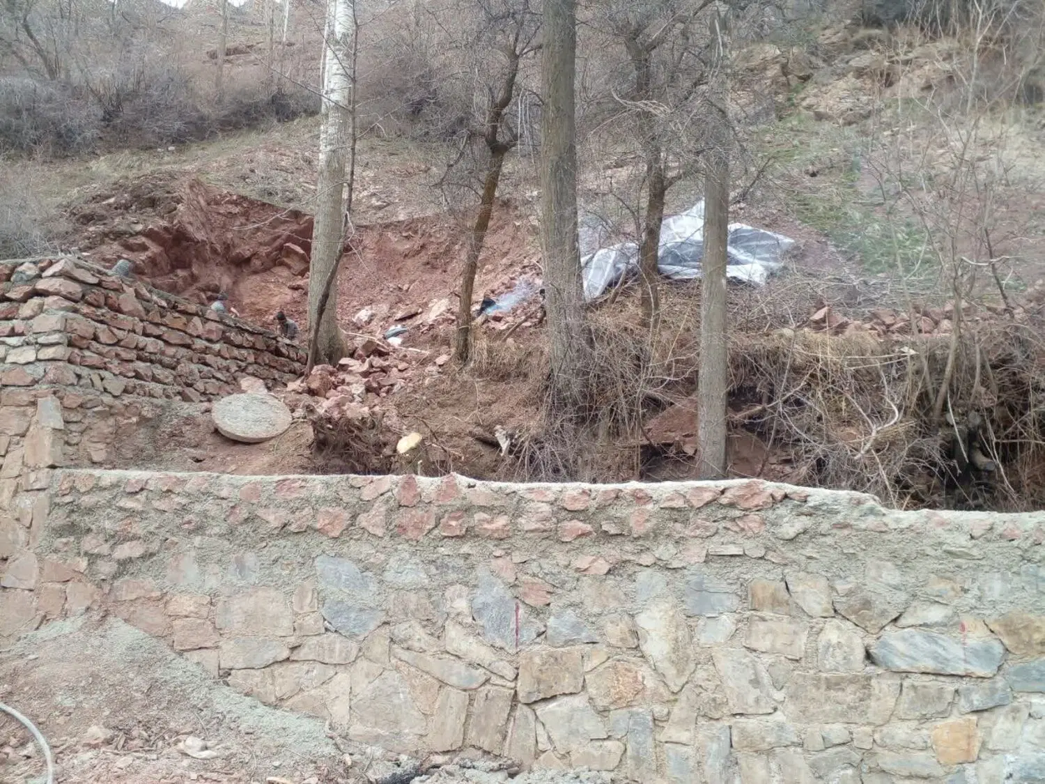 زمین(باغ)