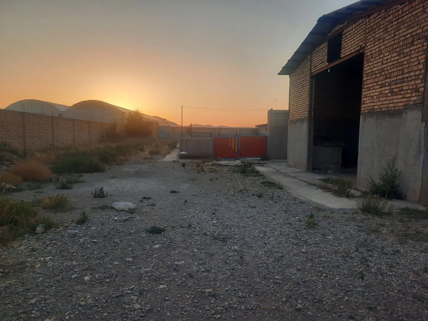 گاوداری تاکستان جاده کهک خورهشت