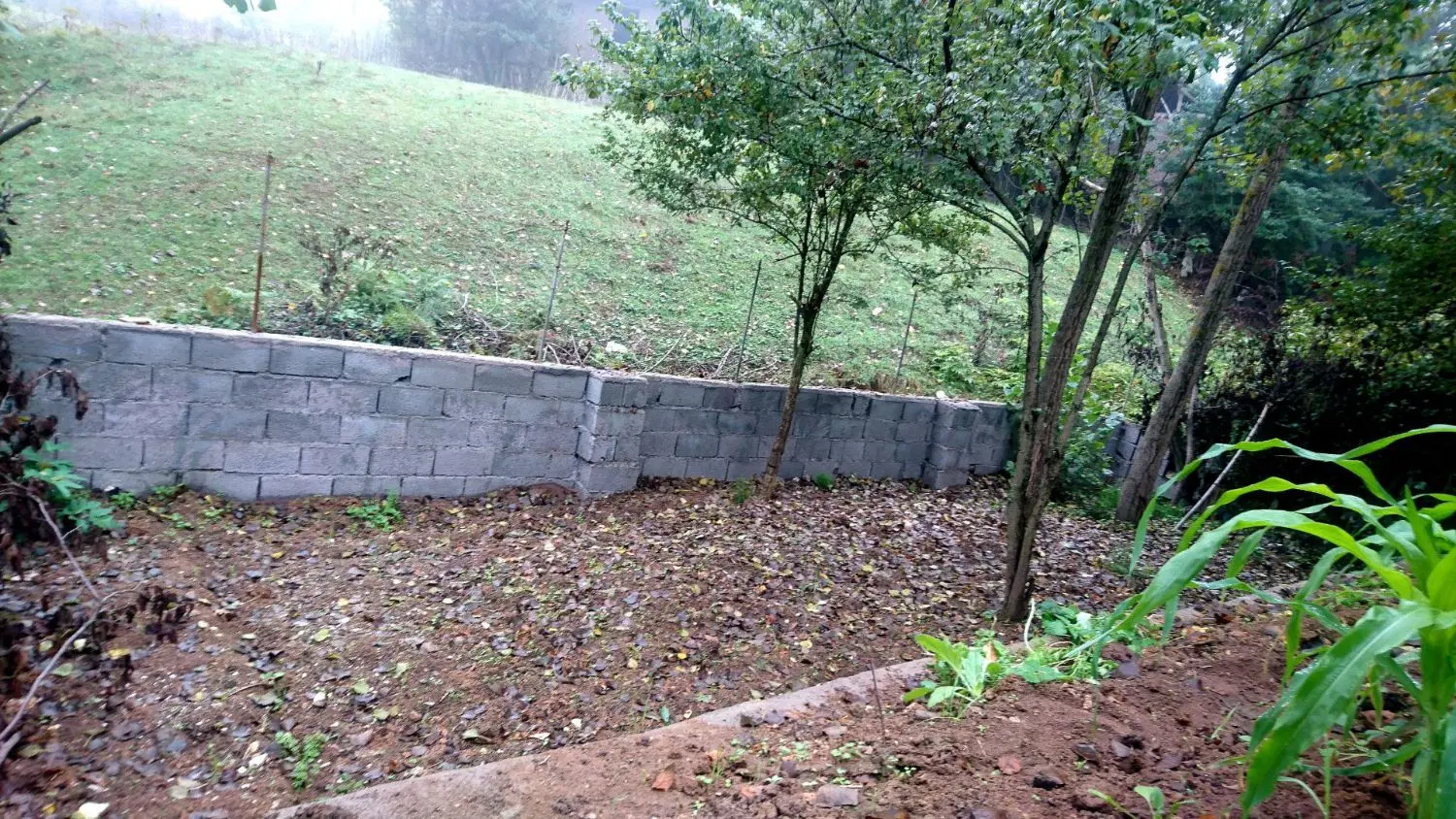 خانه روستایی  در بره سر رودبار گیلان
