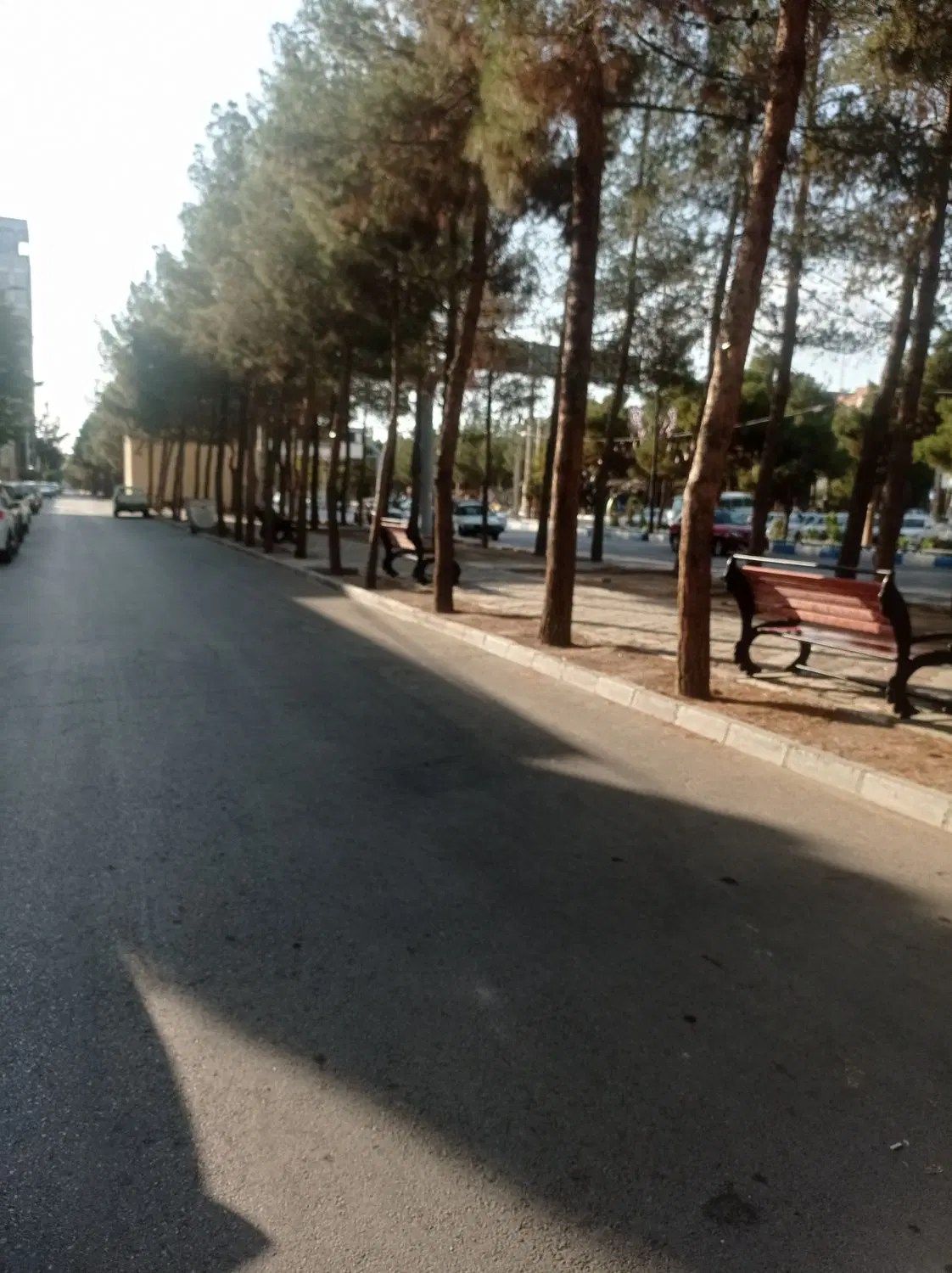 ویلایی تجاری بلوار امام حسین محمدیه