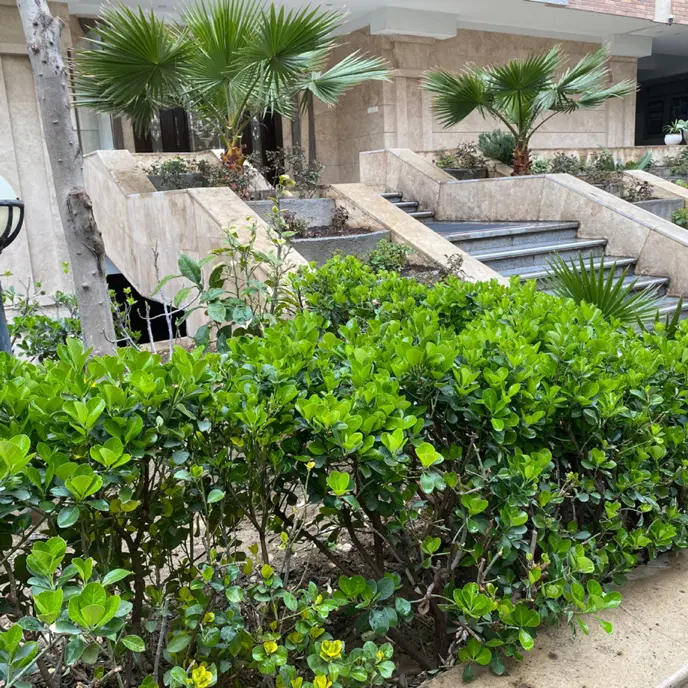 فروش آپارتمان ۱۱۸ متری فول امکانات در الهیه