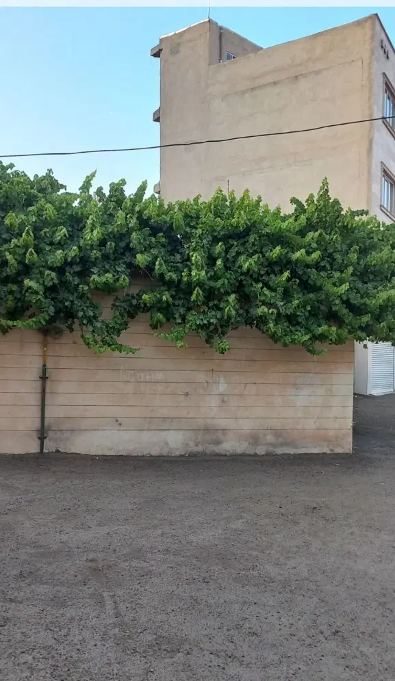فروش ویلایی دانشسرا