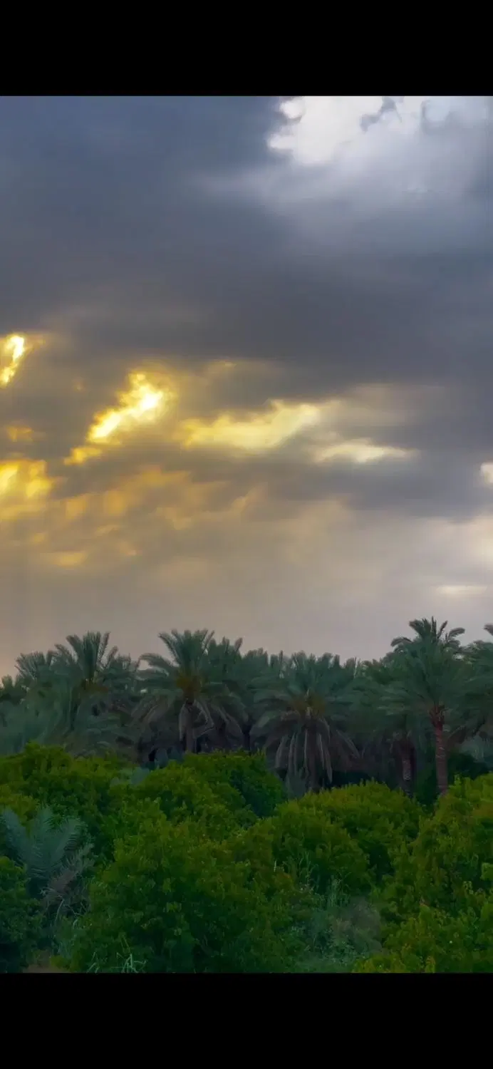 فروش باغ ثمری