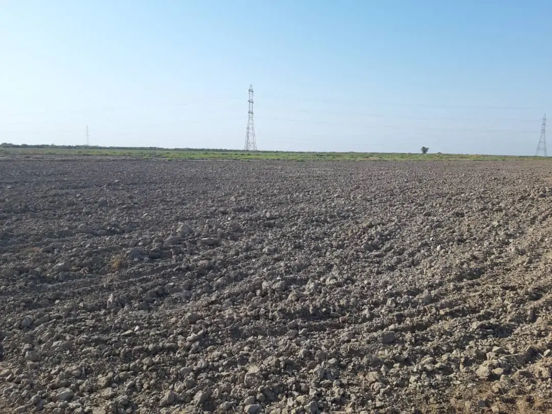 فروش زمین زراعی