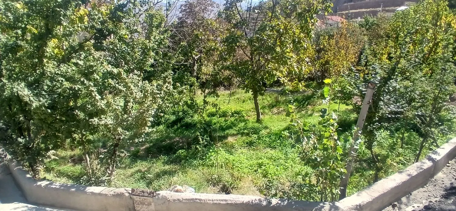 زمین