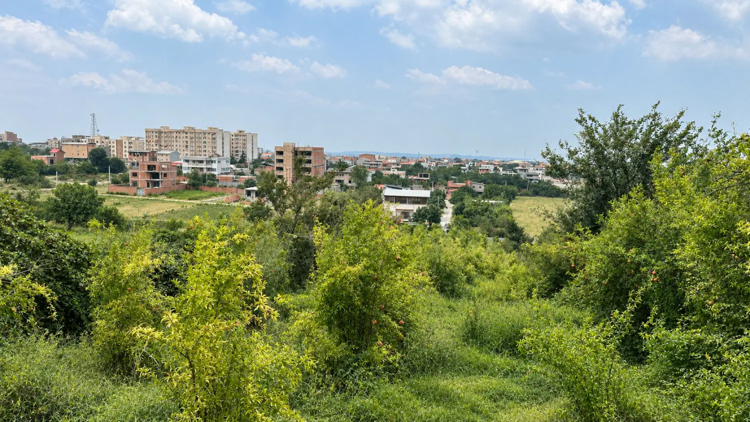 زمین