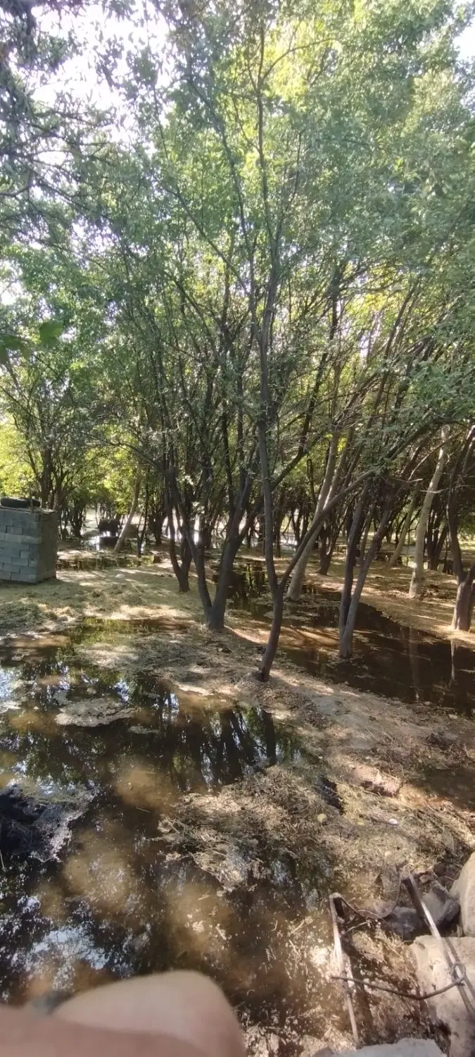 باغ چهار دیواری روستای قلعه