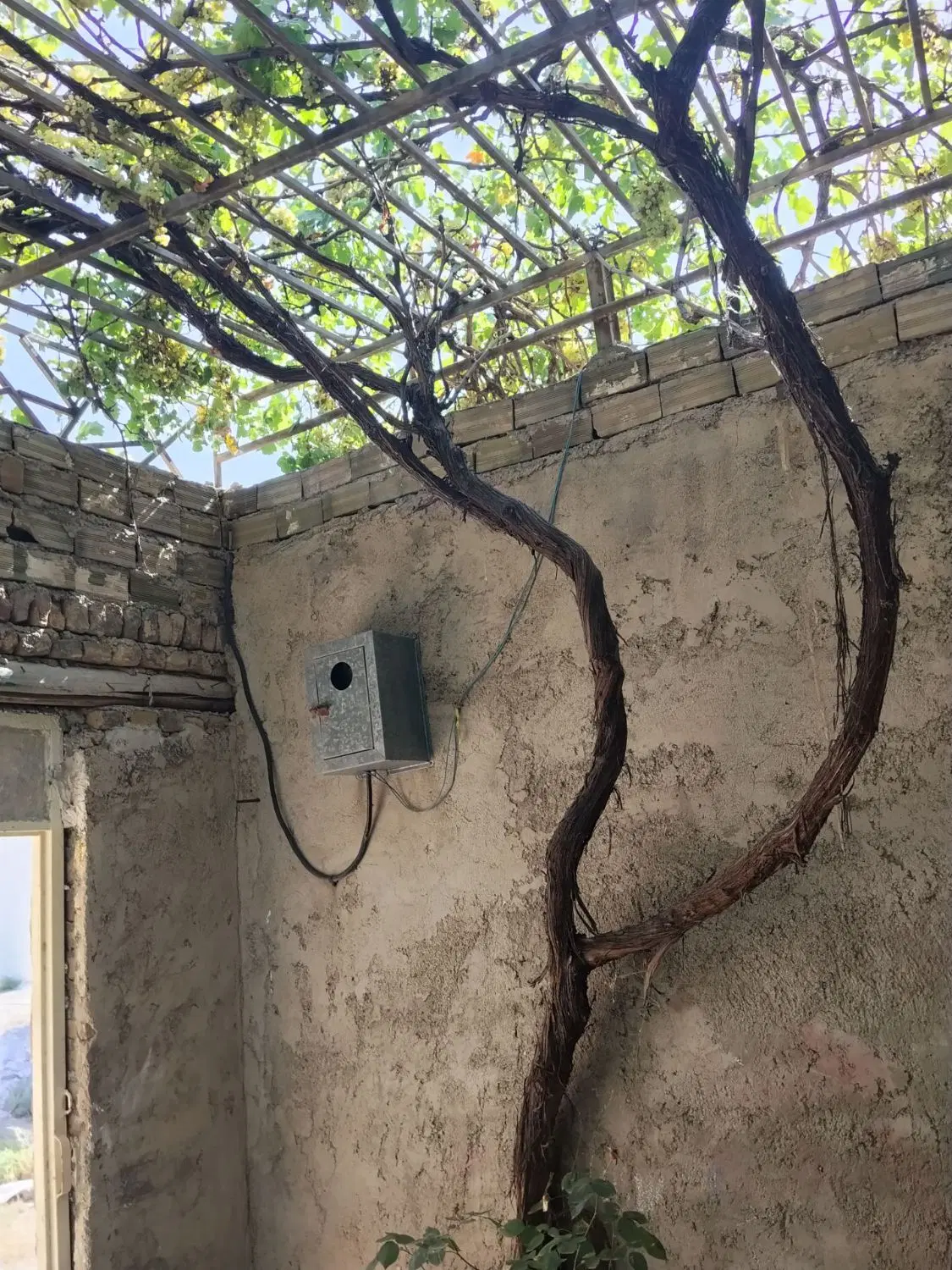 زمین کارگاهی سوله زمین ویلایی حیاط مسکونی