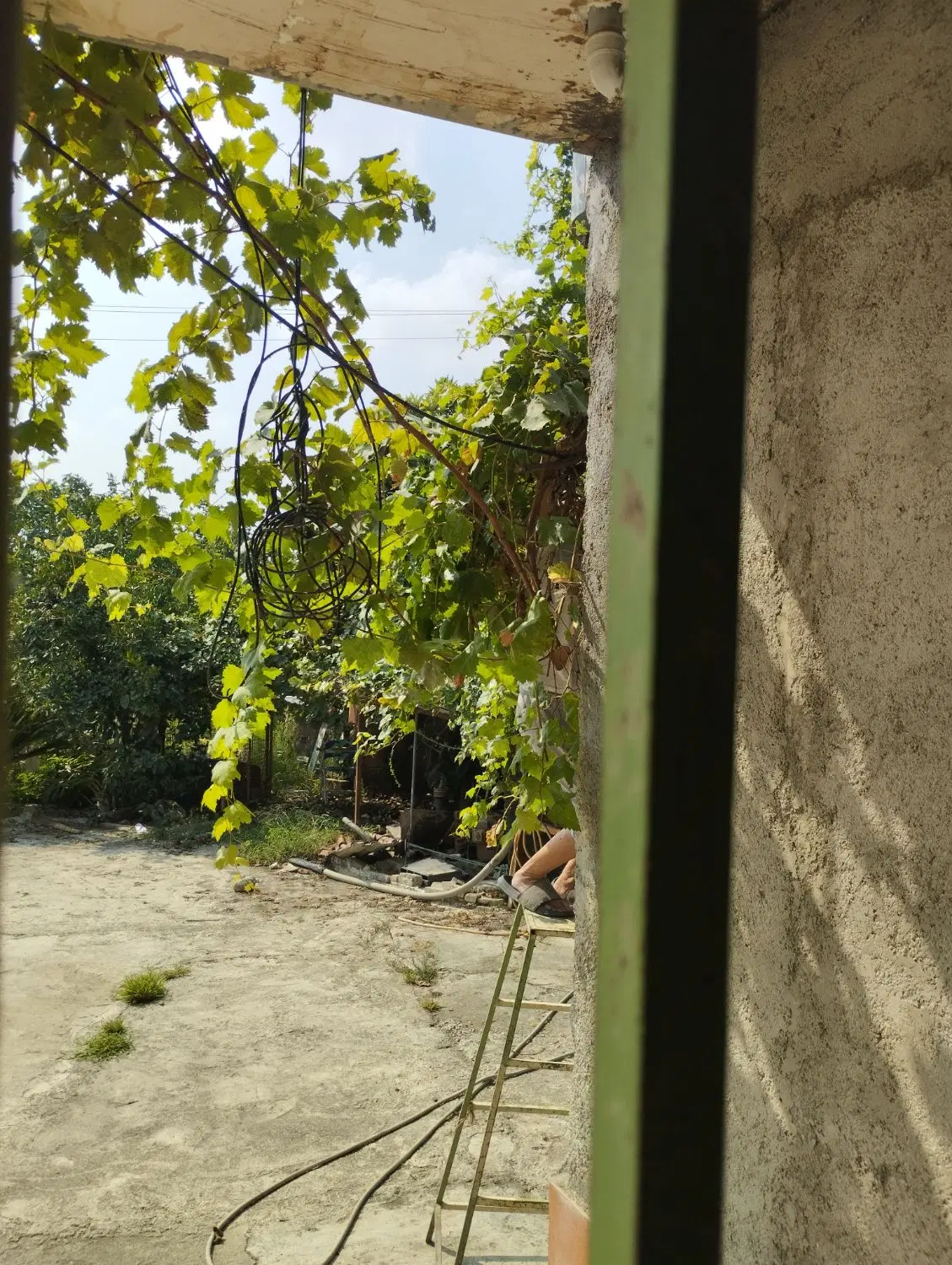 خونه باغ